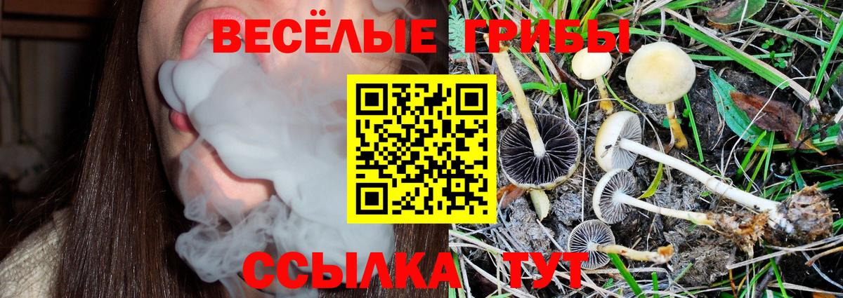 Галлюциногенные грибы Psilocybe  Вход с VPN  Псилоцибиновые грибы Psilocybine cubensis  Каменск-Уральский 